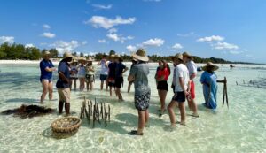A Global Action Team listening attentively to female seaweed farmers, standing ankle deep in crystal clear, warm sea water on a bright, sunny day with blue skies.